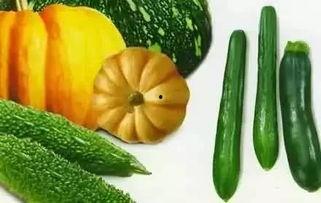 秋刀姨吃瓜,一场吃瓜界的欢乐盛宴