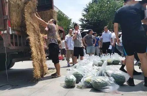 吃瓜学校台阶,揭秘校园台阶背后的故事