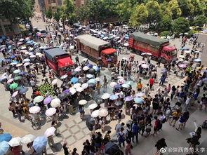 吃瓜学校台阶,揭秘校园台阶背后的故事