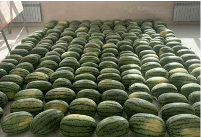 吃瓜学校台阶,揭秘校园台阶背后的故事