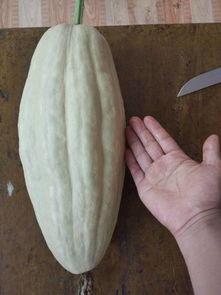 请你吃块大瓜,一起品尝那些“大瓜”背后的故事