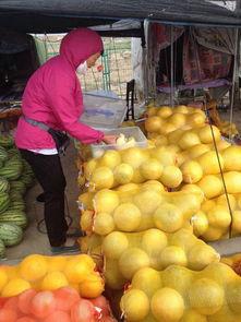 甘肃男女吃瓜,一瓜未了，一瓜又起