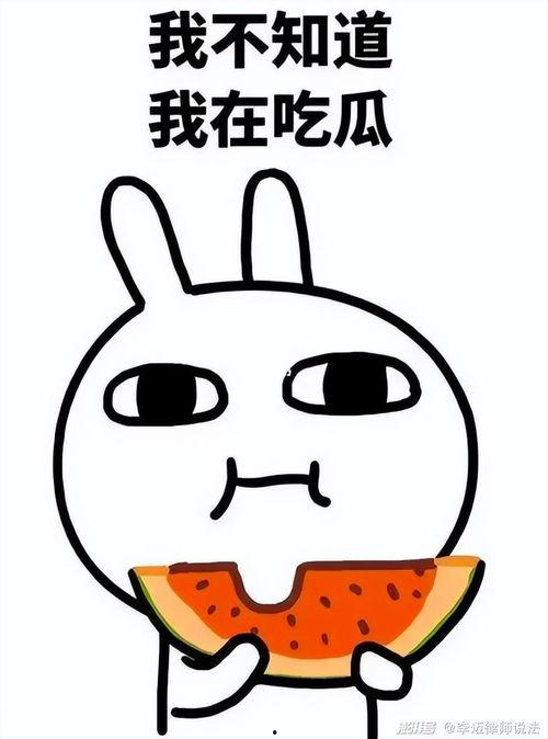 吃瓜小嘟嘟,揭秘娱乐圈那些不为人知的幕后故事