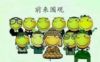 塔城吃瓜群众是谁,网络红人的崛起与影响力