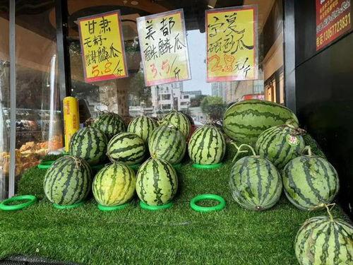 信阳麒麟瓜吃西瓜,西瓜新宠，夏日消暑佳品