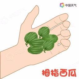 带你喝带你吃瓜,尽享味蕾盛宴