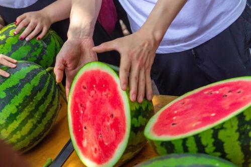 吃瓜南京师大,揭秘校园热点背后的故事