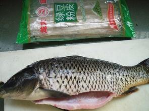 鲤鱼吃瓜的方法,揭秘水中“吃瓜”高手