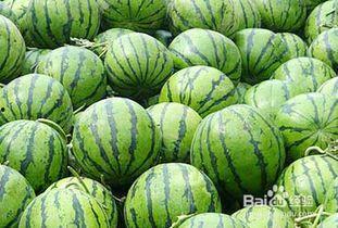 怎么无伤吃瓜,畅享娱乐盛宴