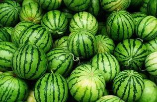 邹城吃瓜群,揭秘当地美食文化圈