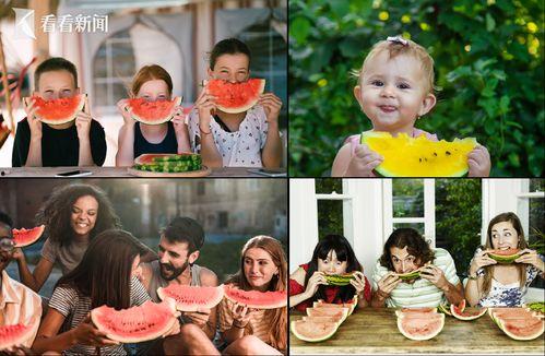 吃瓜come on,Come On！