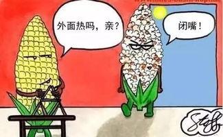 吃瓜come on,Come On！