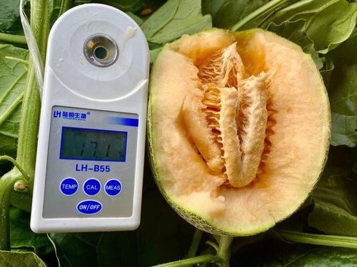 399吃瓜合集,揭秘娱乐圈那些不为人知的幕后故事