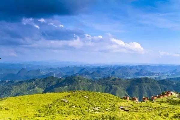 贵阳高坡吃瓜,夏日避暑吃瓜，体验乡村田园风情