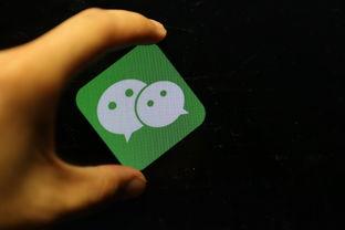 快起床吃瓜小程序,揭秘热门话题，轻松掌握每日资讯