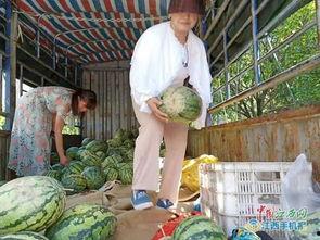 爱心吃瓜,品味生活，共享甜蜜时光