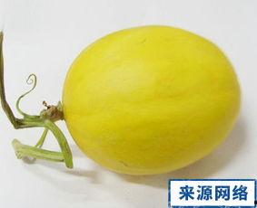 孕妇吃脆瓜好吗,孕妇适量吃脆瓜有益健康