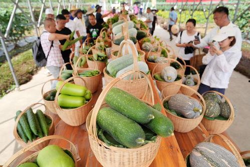 贵阳展会吃瓜,吃瓜群众的热闹一幕