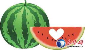 爱心吃瓜,品味生活，共享甜蜜时光