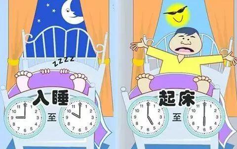 早睡早起吃瓜,吃瓜养生两不误