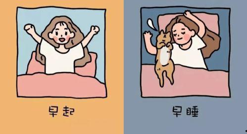 早睡早起吃瓜,吃瓜养生两不误