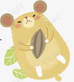 老鼠吃瓜素材图,揭秘老鼠的“甜蜜”生活