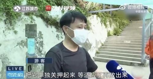 网红喆吃瓜