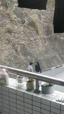 女子拍摄学院 吃瓜视频,揭秘校园生活幕后真相