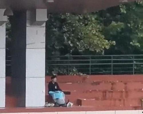 女子拍摄学院 吃瓜视频,揭秘校园生活幕后真相