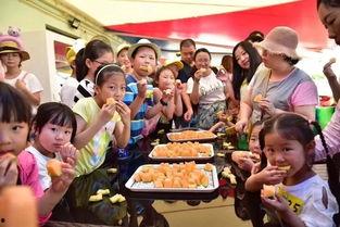 嘉定吃瓜群众新闻