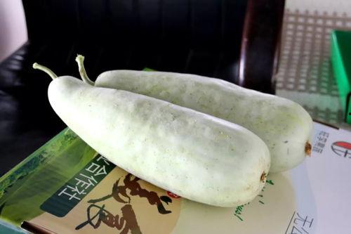 嘉定吃瓜群众新闻