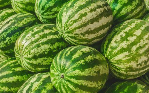 福州318吃瓜,一场别开生面的“吃瓜”盛宴