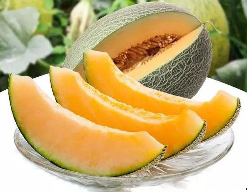 瓜州免费吃瓜骗局揭秘,揭秘背后的套路与防范措施