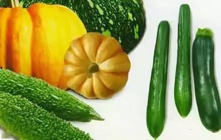 吃瓜营生,网络时代下的娱乐产业新风向