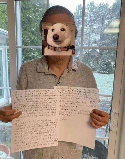 睡不着吃瓜合集