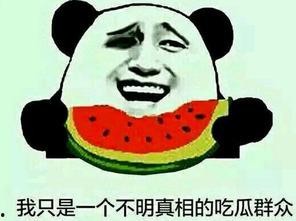 电梯内吃瓜群众,揭秘现代都市人的社交百态