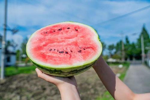 新吃旧瓜,探寻美食与传统的完美融合