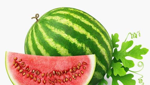 镭塔吃瓜人请进,揭秘虚拟世界中的神秘现象