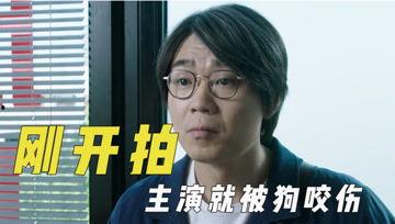 pel吃瓜君,pel吃瓜君带你揭秘娱乐圈最新热点事件