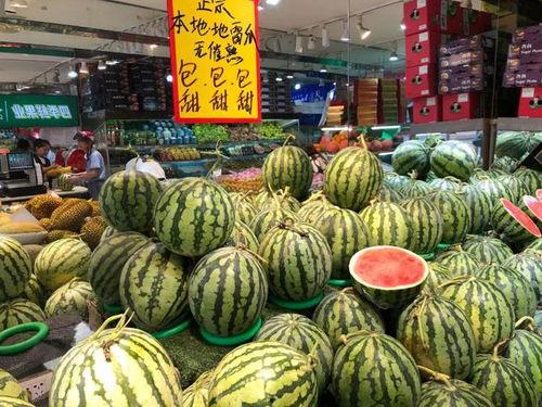 温州吃瓜小分队,探寻美食背后的故事