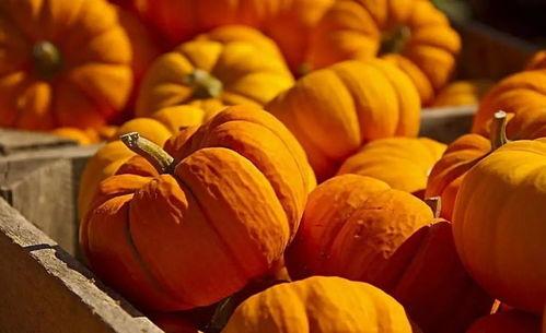 山寨食品吃瓜,吃瓜群众如何辨别真假美食